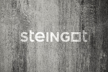 ���������� ������ Steingot ������� "����� ���� Stein Silver"