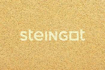 ���������� ������ Steingot ������ ����� 60 "Ƹ����" (������� �������)