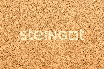 ���������� ������ Steingot ����� "���������" (������� �������)